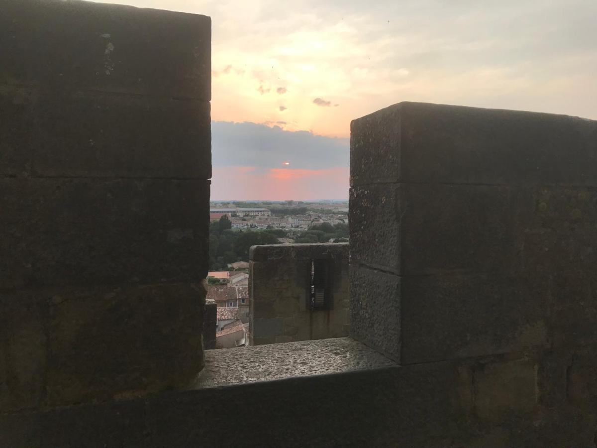 Le Clos Saint Michel Carcassonne Bagian luar foto