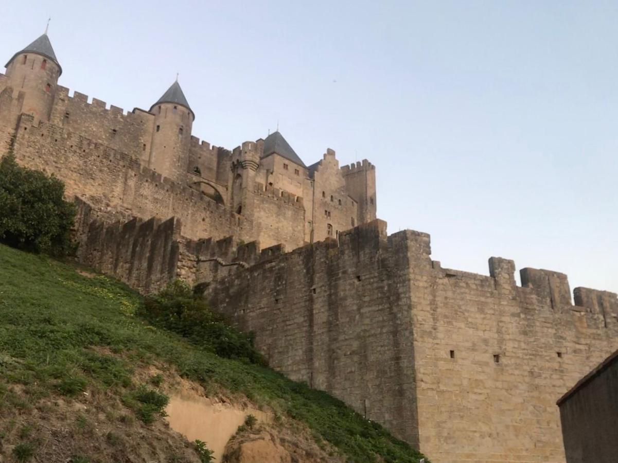 Le Clos Saint Michel Carcassonne Bagian luar foto